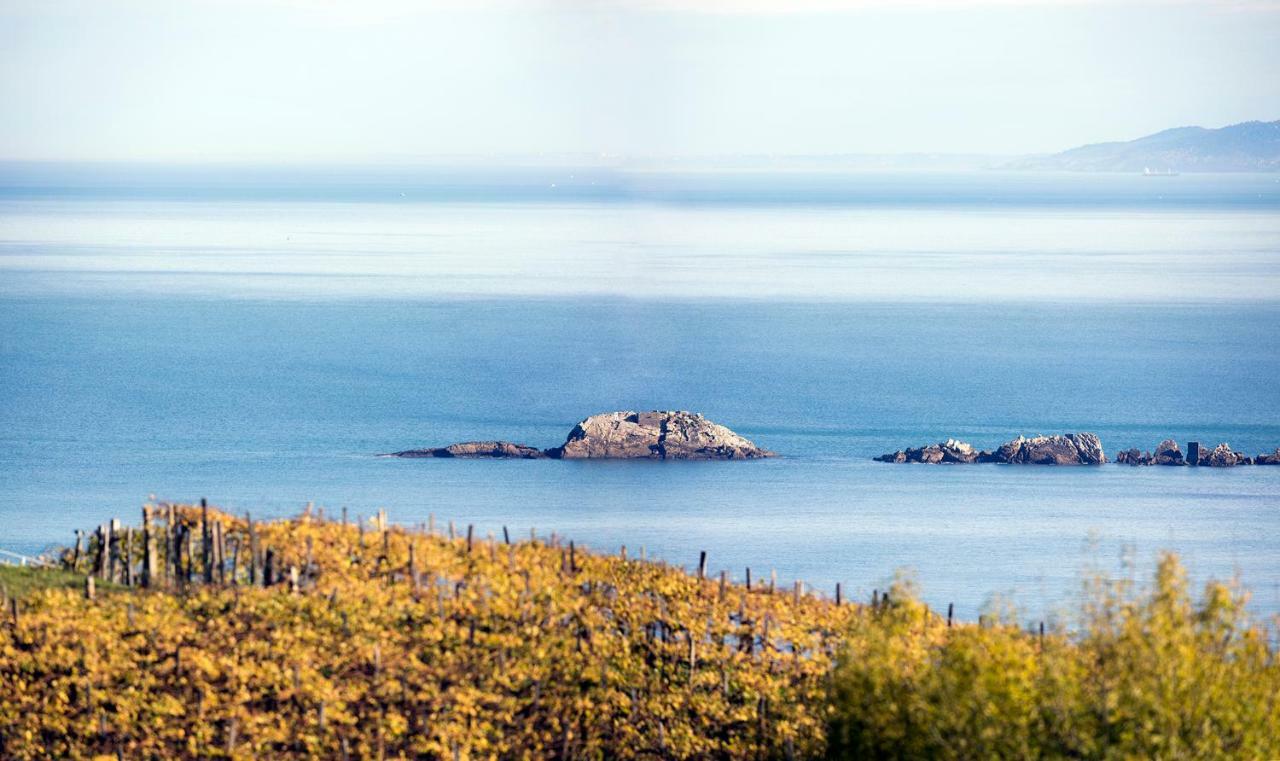 Aterian. Sanz Enea Daire Zarautz Dış mekan fotoğraf